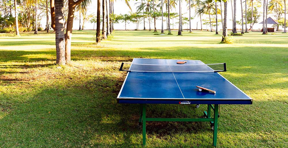 The Anandita - Table tennis anyone