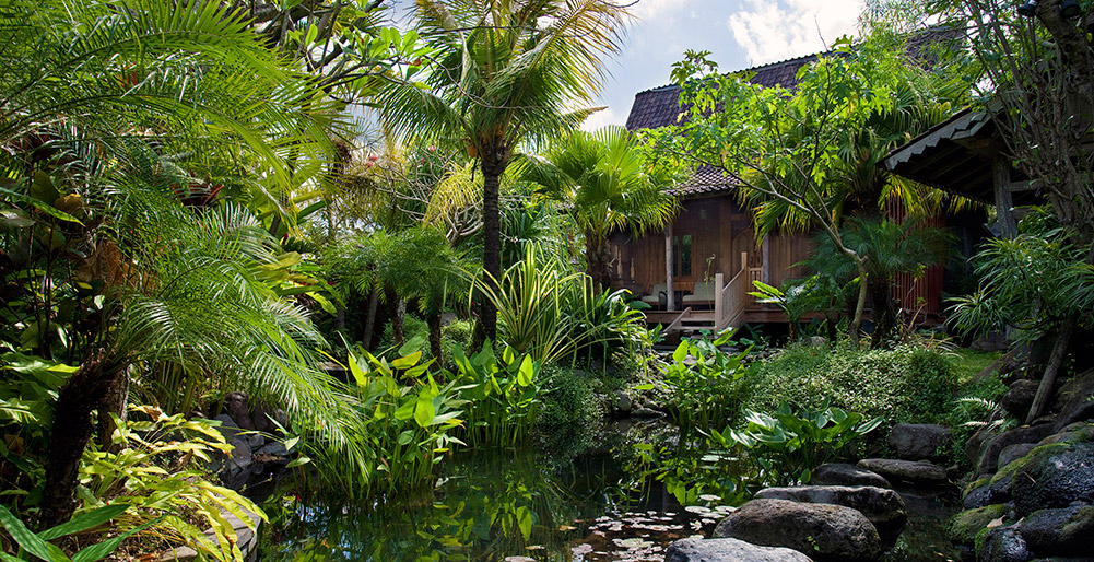 Dea Villas - Villa Radha - Entrance pond