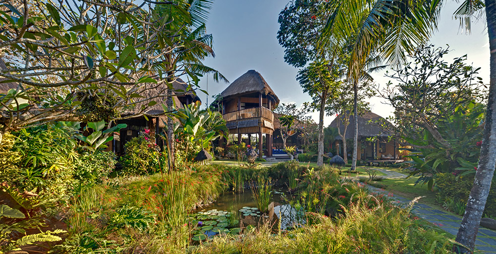 Taman Ahimsa - Garden