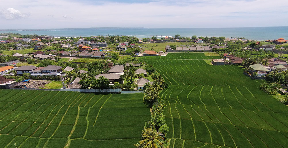 Bendega Rato - Ricefields and beachside