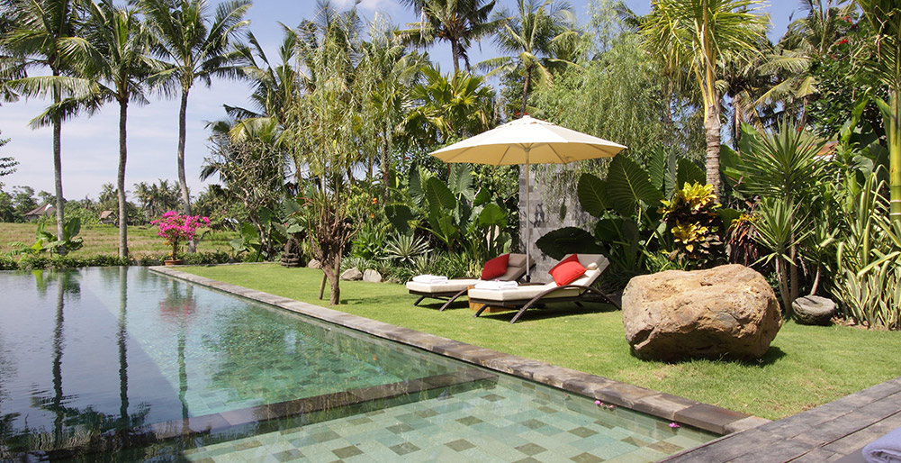 Villa Sarasvati - Pool and gardens